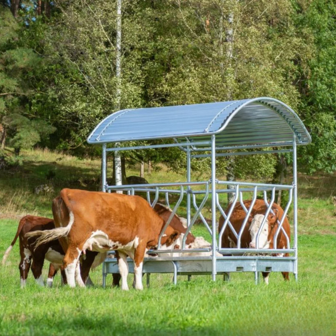 Paśnik łąkowy z zadaszeniem dla bydła bez rogów 12 stanowiskowy. - miniatura 3