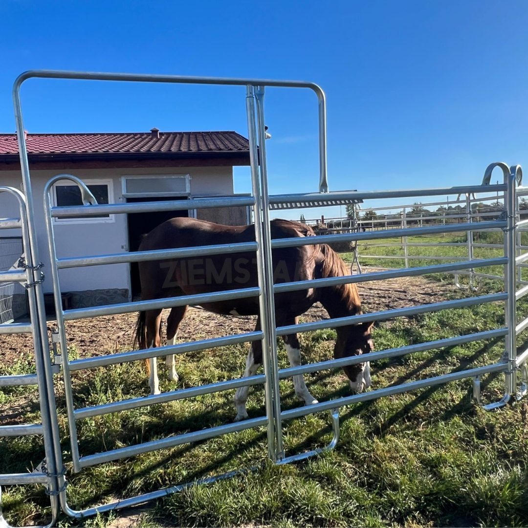 Panel wygrodzeniowy TEXAS z furtką - miniatura 4